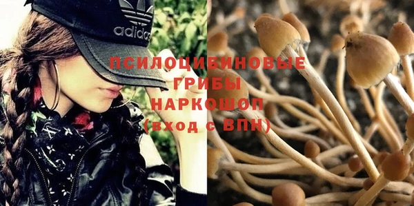 mix Верхний Тагил