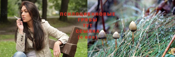 mix Верхний Тагил