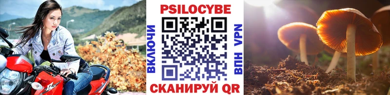 цена наркотик  Семёнов  KRAKEN сайт  Псилоцибиновые грибы ЛСД 